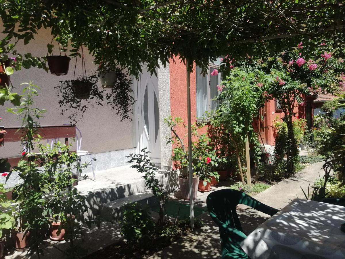 Apartman Nana Ягодина Екстериор снимка