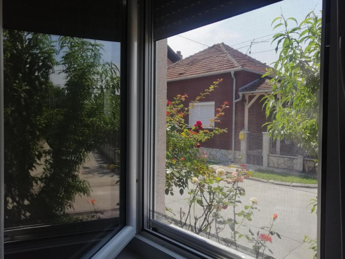 Apartman Nana Ягодина Екстериор снимка