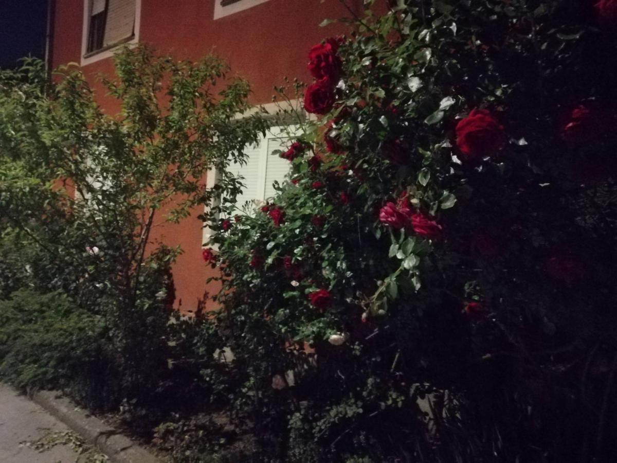 Apartman Nana Ягодина Екстериор снимка