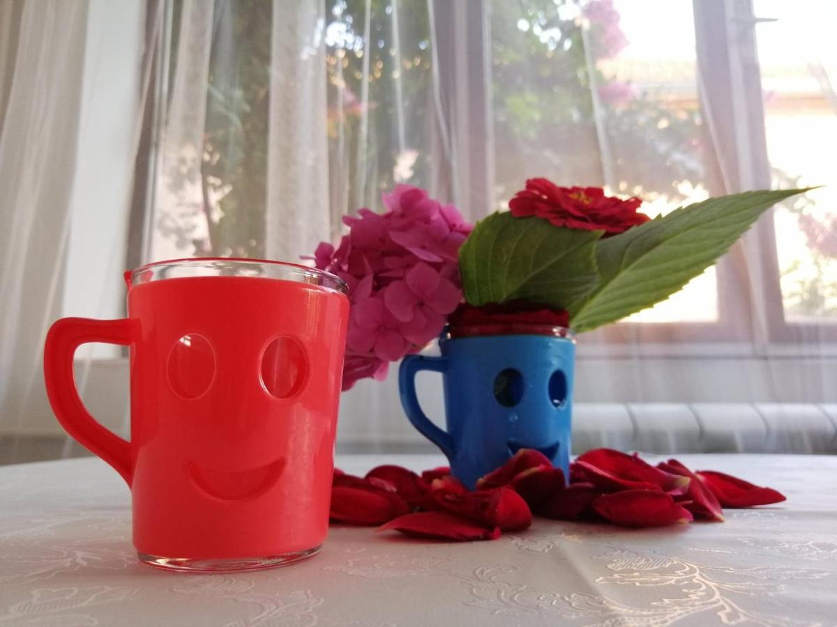 Apartman Nana Ягодина Екстериор снимка