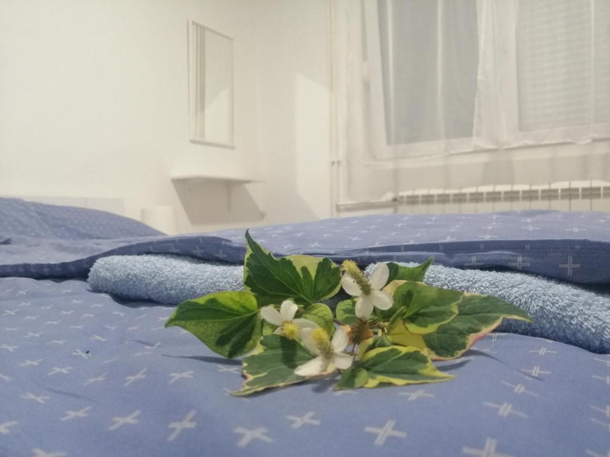 Apartman Nana Ягодина Екстериор снимка