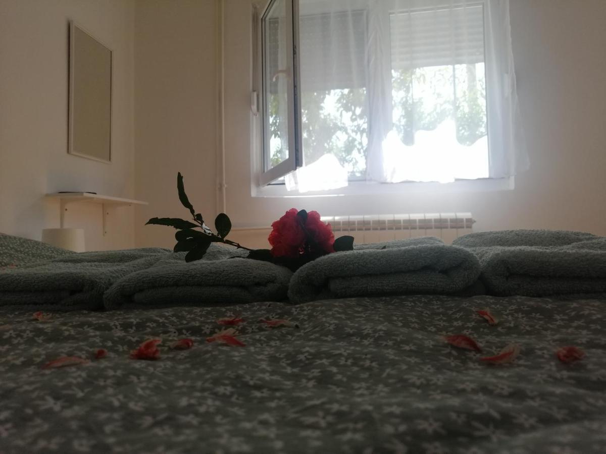 Apartman Nana Ягодина Екстериор снимка