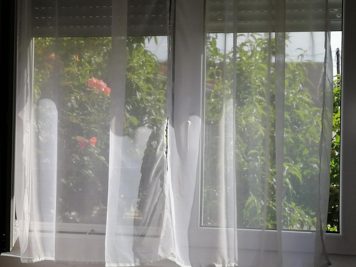 Apartman Nana Ягодина Екстериор снимка